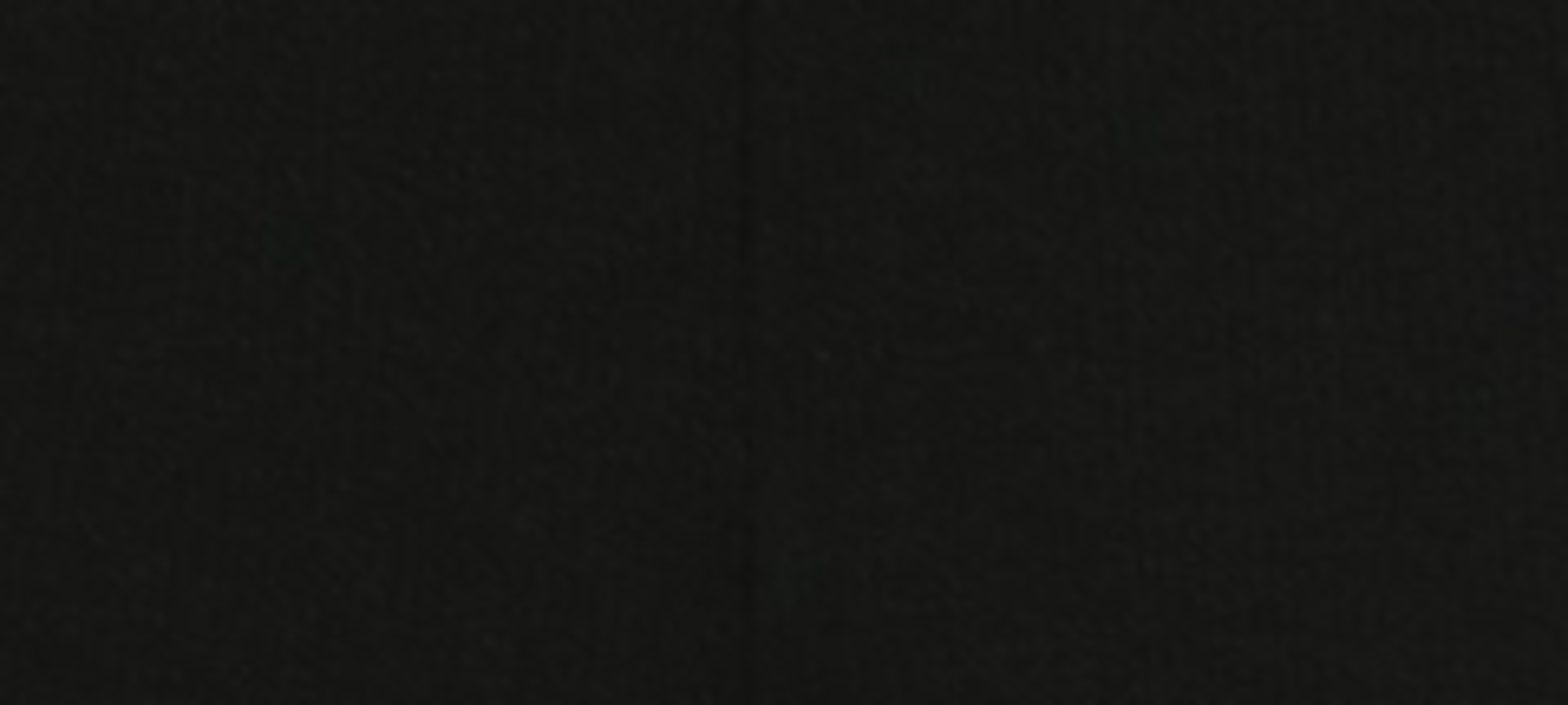 Top Secret PANTALONI LADY's