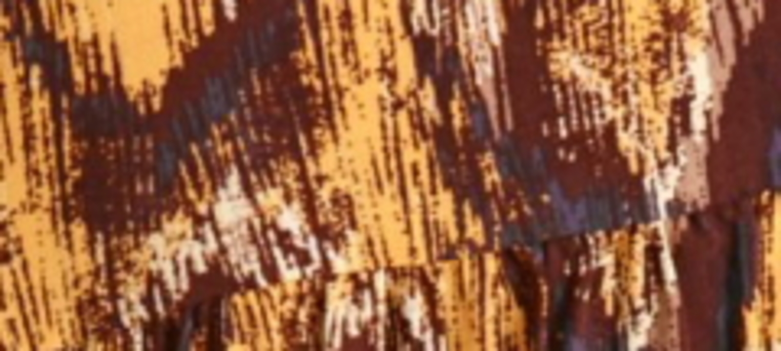 Top Secret ROCHIA DOAMNEI