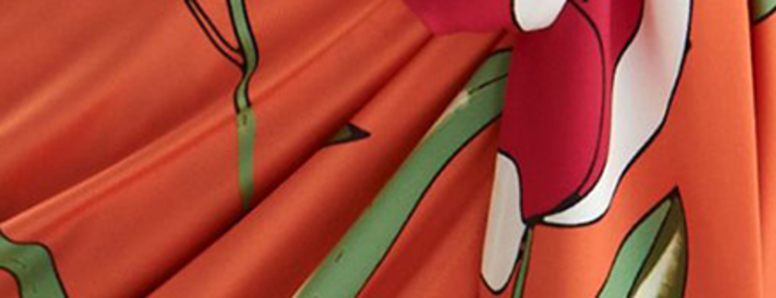 Spălare uscată ROCHIA DOAMNEI