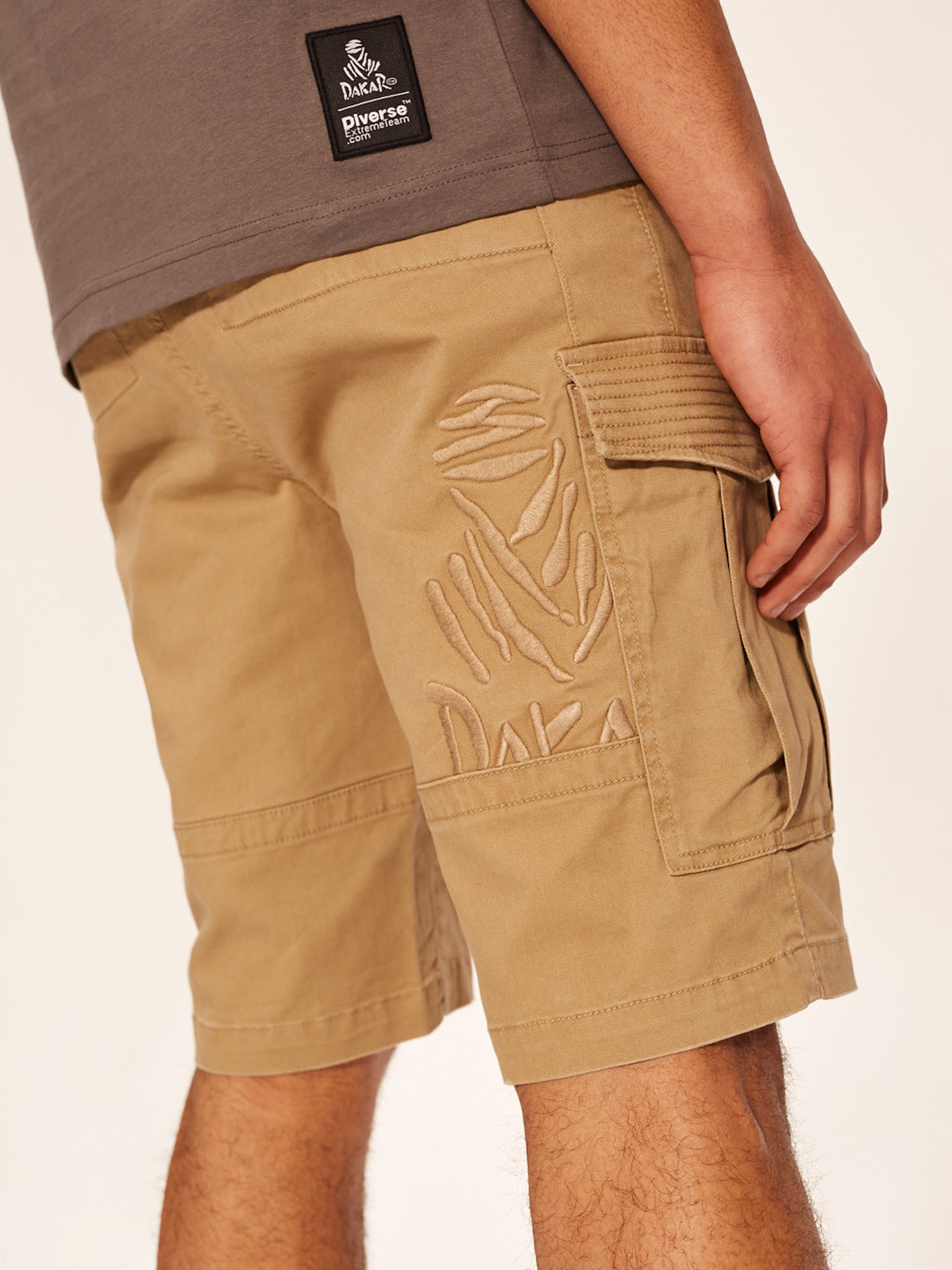 Diverse Men&#039;s shorts DKR CARGOS
