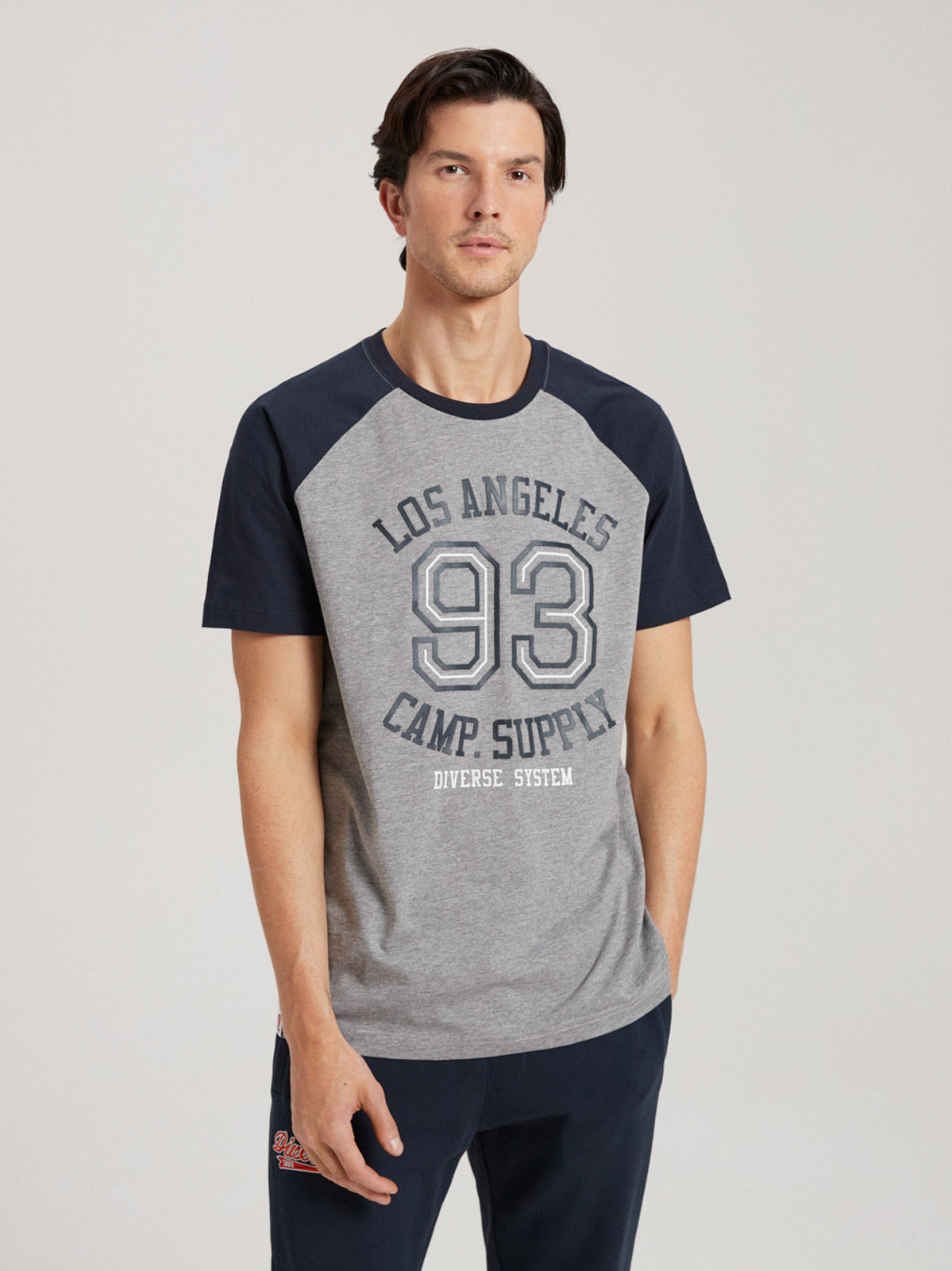 Diverse Men's printed T-shirt HUMTLEX