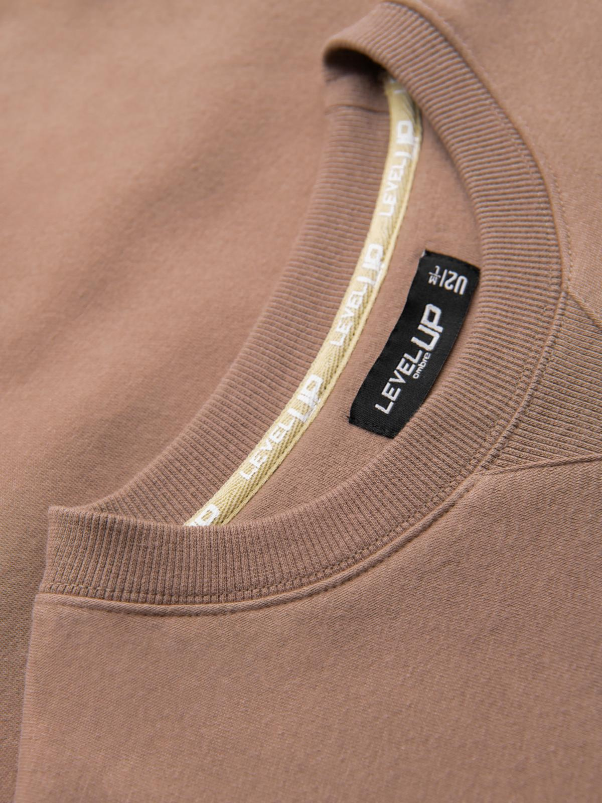 Ombre Classic unisex sweatshirt with round neckline - brown