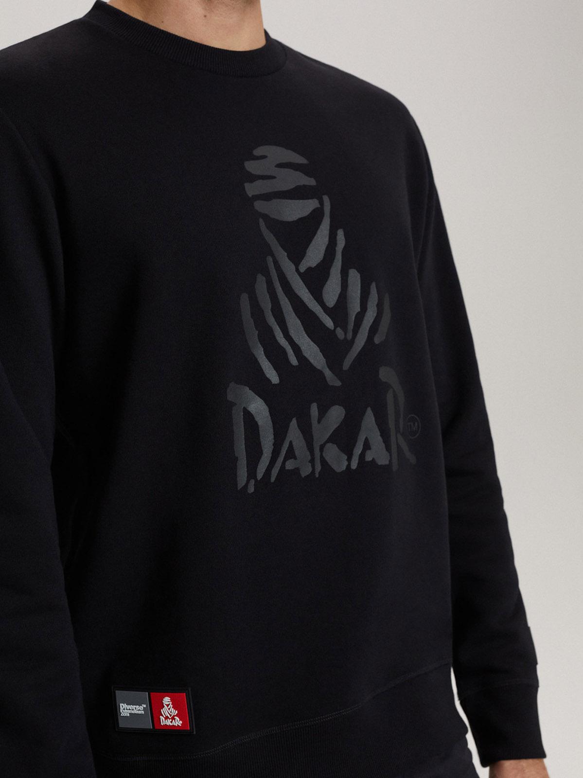 Diverse Men's sweatshirt DKR CREW 04