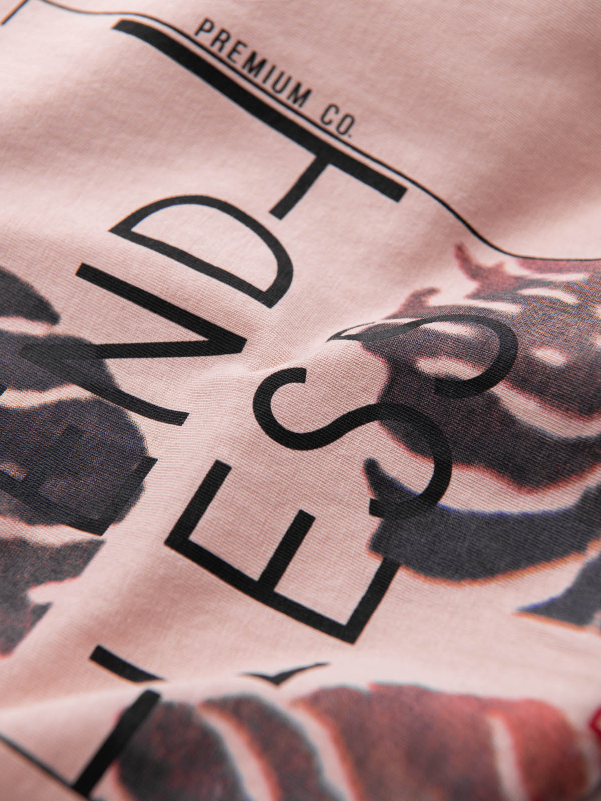 Tricou pentru bărbați Edoti