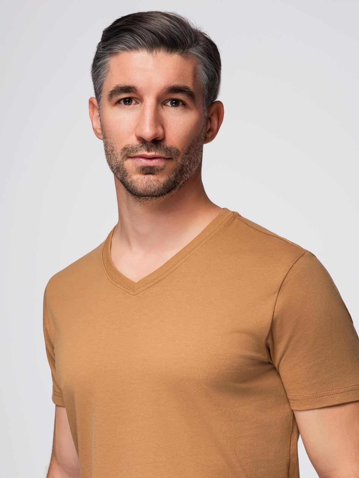 Ombre Men's BASIC classic cotton T-shirt with a v-neck - brown