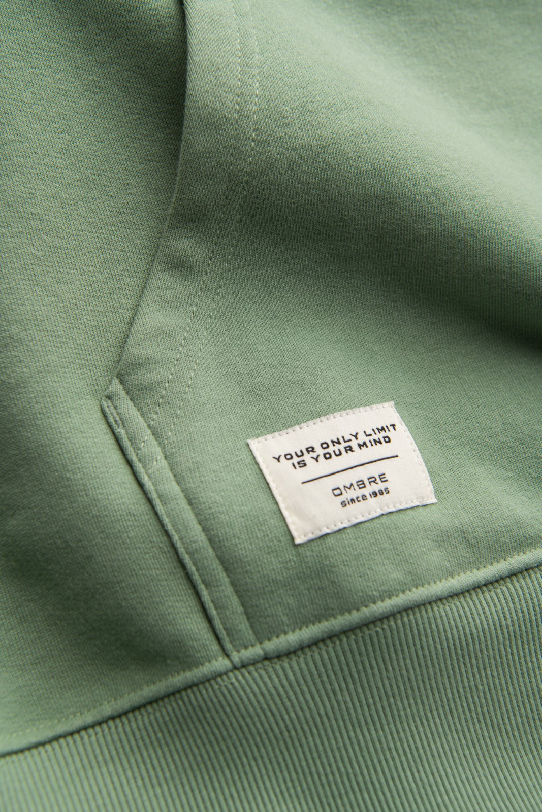 Ombre Men&#039;s kangaroo sweatshirt with hood - green