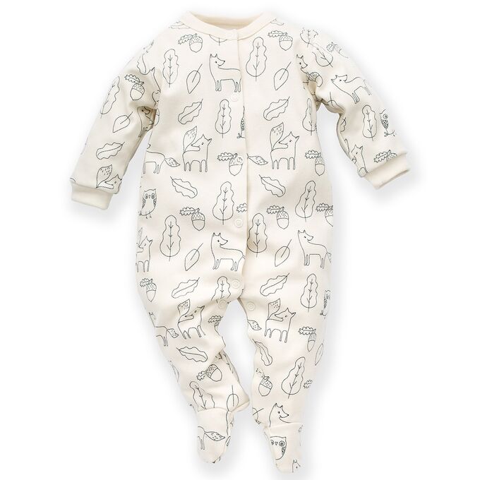 Pinokio Kids's Secret Forest General