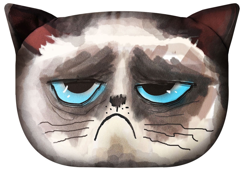 Bertoni Home Unisex's Cat Pillow Grumpy