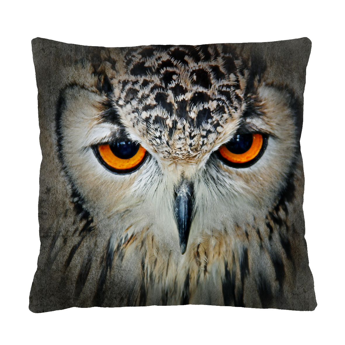 Bertoni Home Unisex's Square Pillow Sybilla