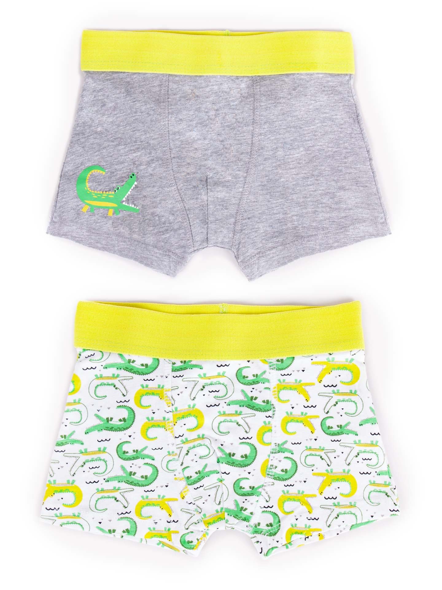 Levně Yoclub Kids's Cotton Boys' Boxer Briefs Underwear 2-pack BMB-0011C-AA30-001