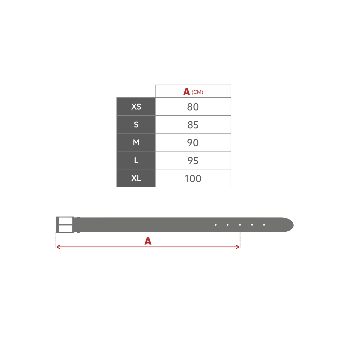 Big Star Woman&#039;s Belt 240032