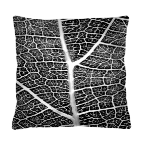 Bertoni Home Unisex's Square Pillow Tkanka