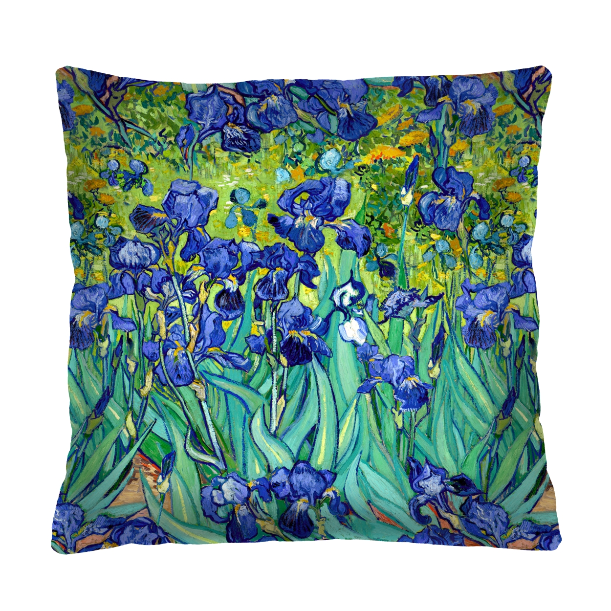 Bertoni Home Unisex's Square Pillow Irises