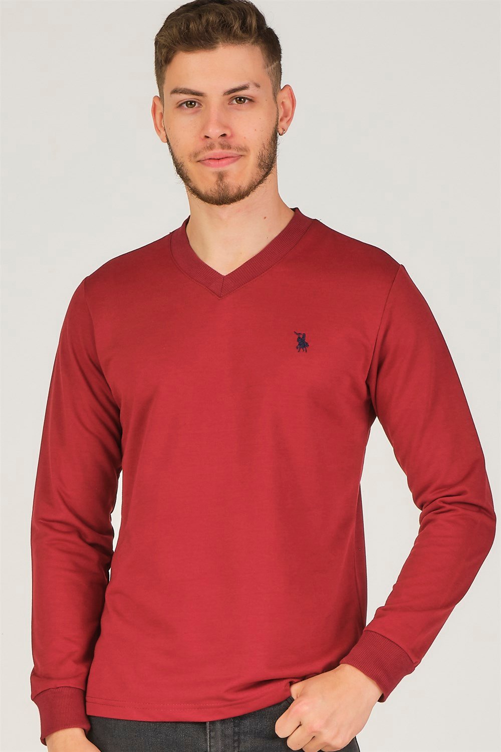 Pulover pentru bărbați dewberry