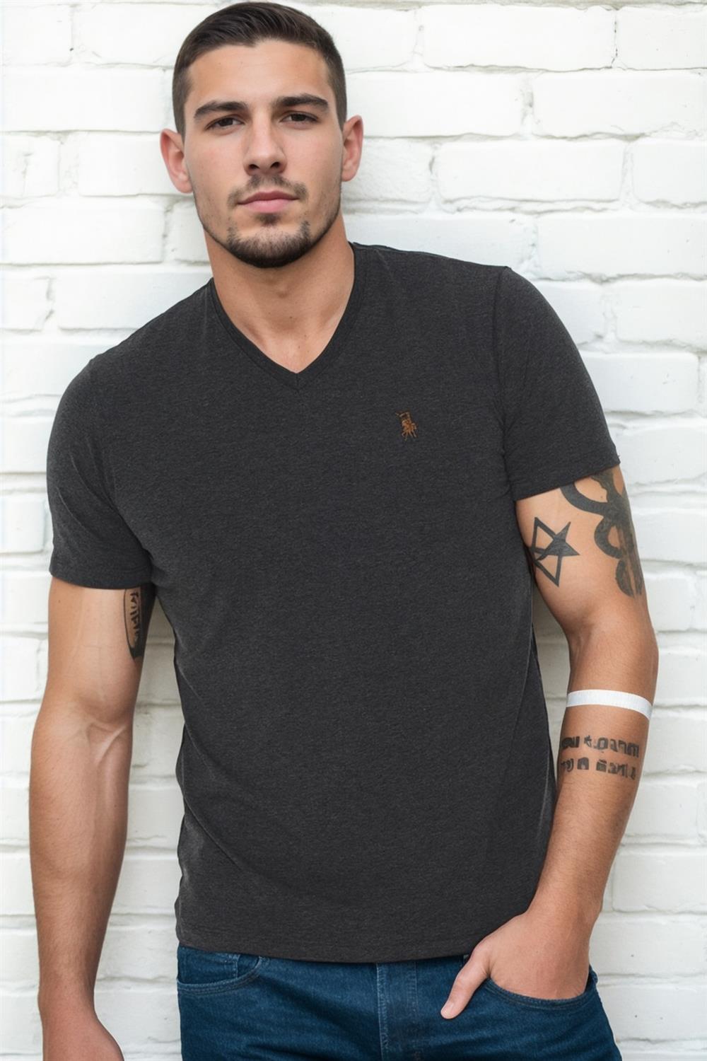 T8568 DEWBERRY V-NECK MENS T-SHIRT-ANTHRACITE-2