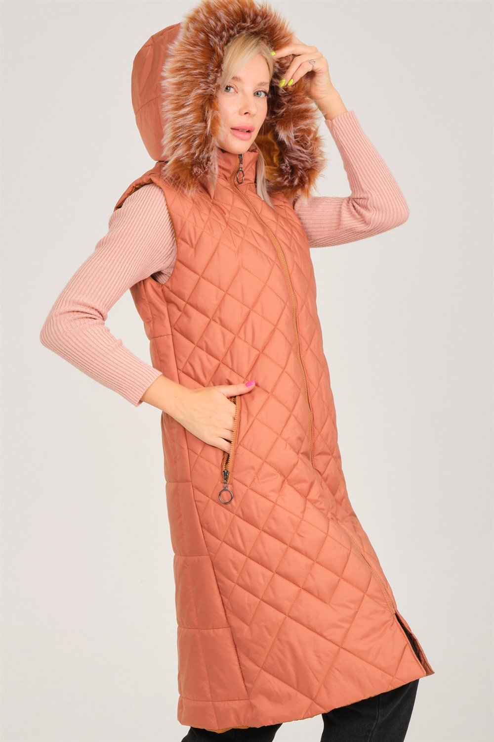 Vesta dama, dewberry