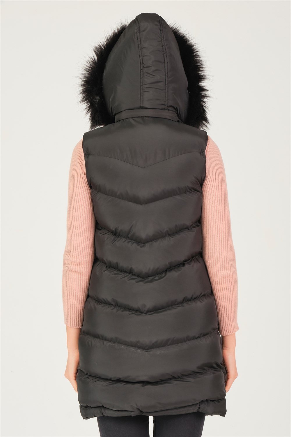 Vesta dama dewberry Black