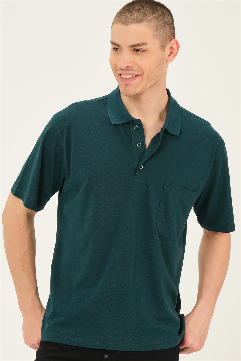 T0063 DEWBERRY