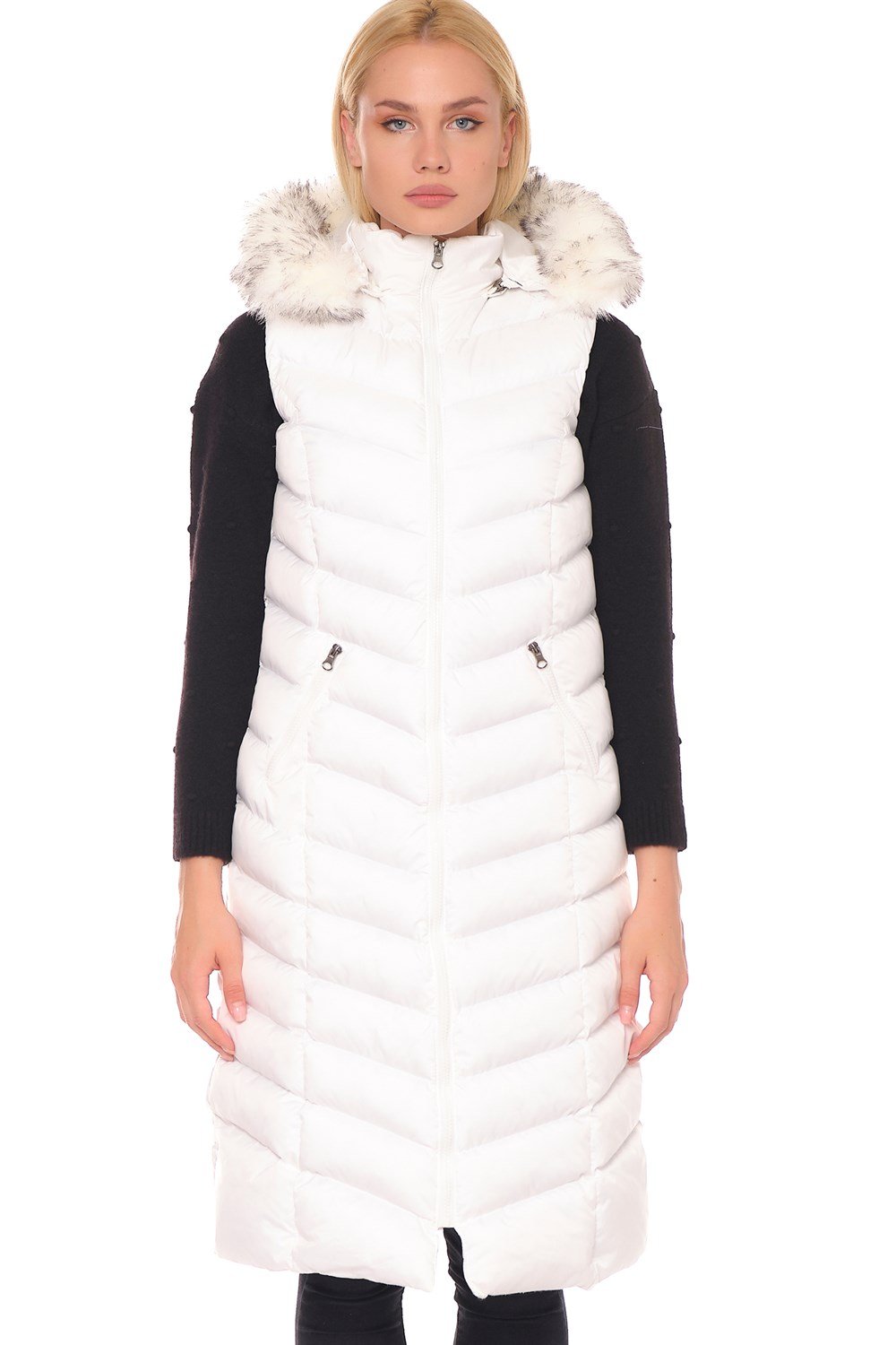 Vesta dama, dewberry