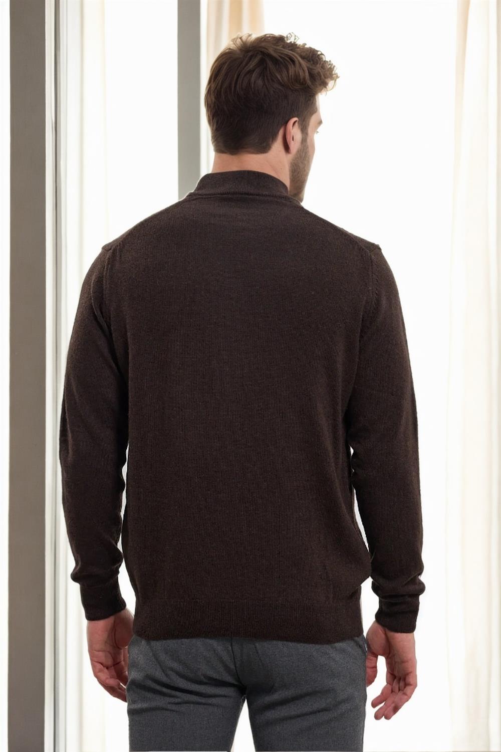 64721 Dewberry Half Turtleneck Woolen Mens Knit Sweater-COFFEE