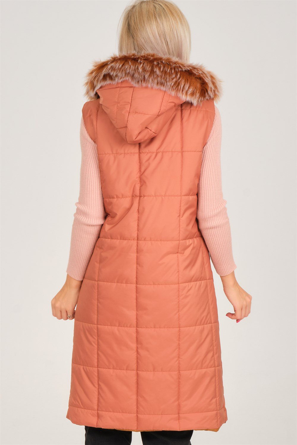 Vesta dama, dewberry