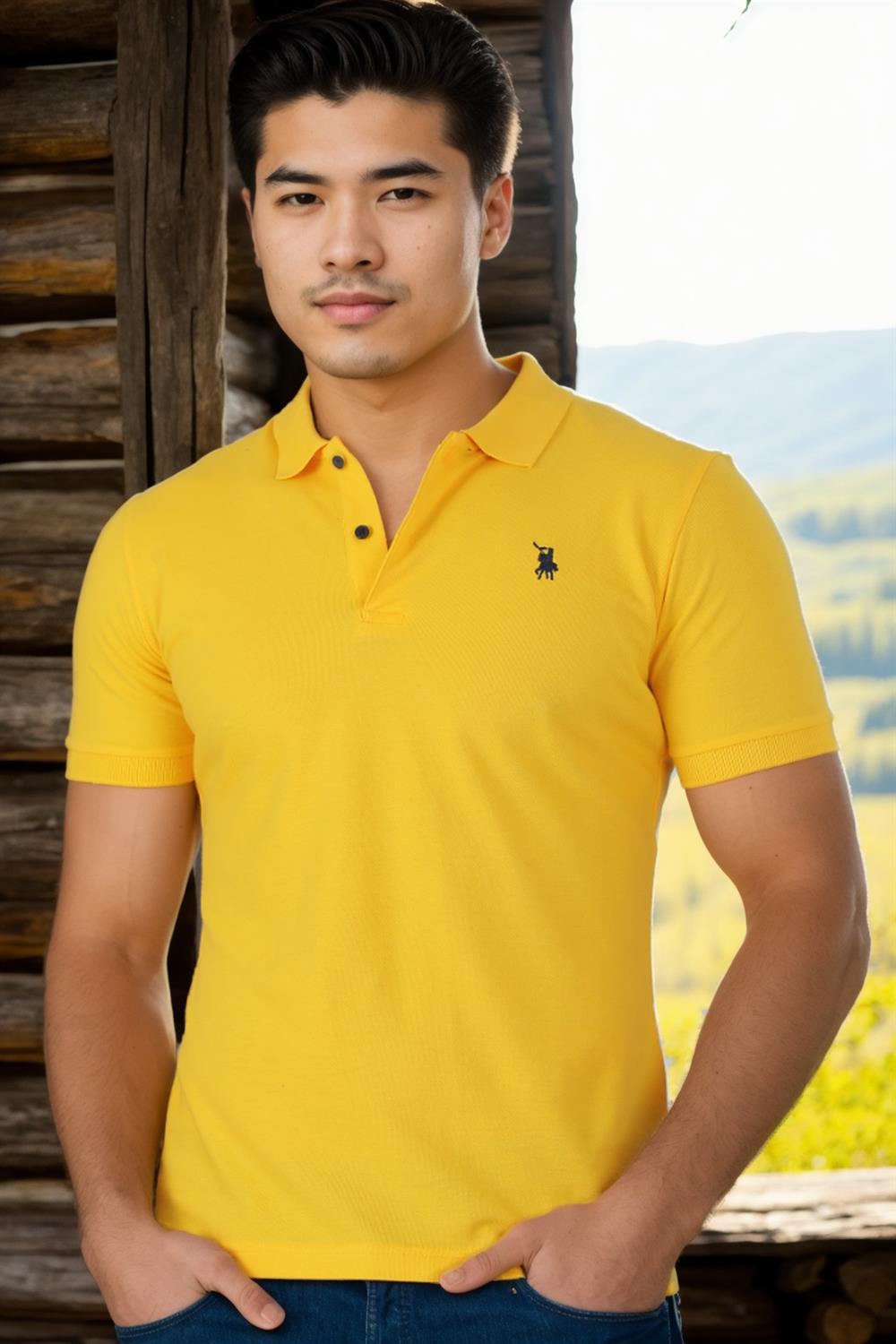 Tricou polo de barbati, dewberry