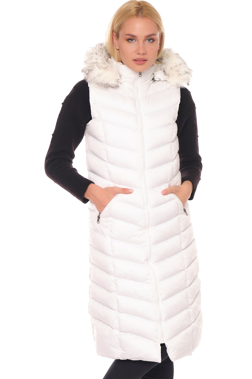 Vesta dama, dewberry