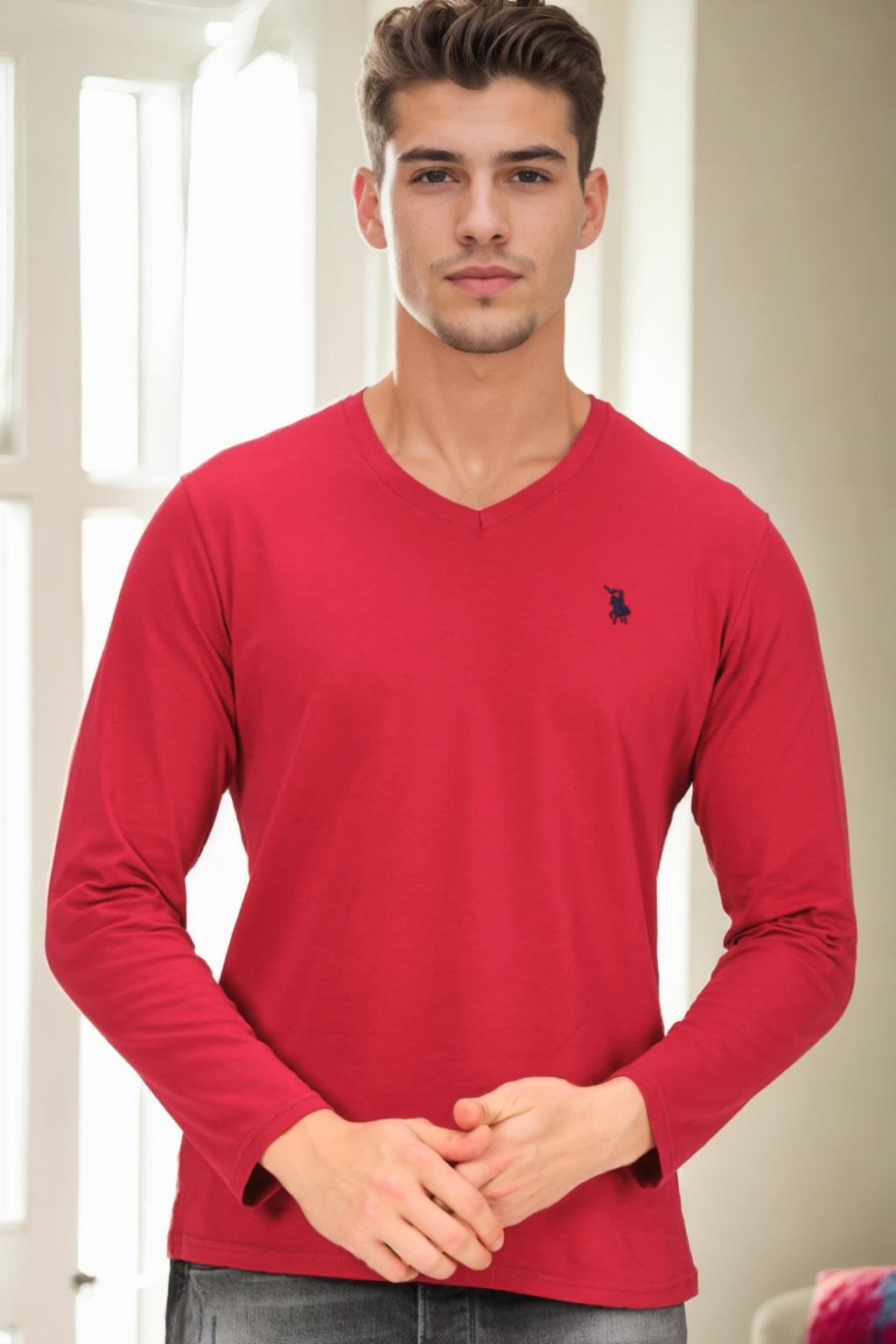 T9587 Dewberry V-NECK Men's Long Sleeve T-SHIRT-BURGUNDY-image