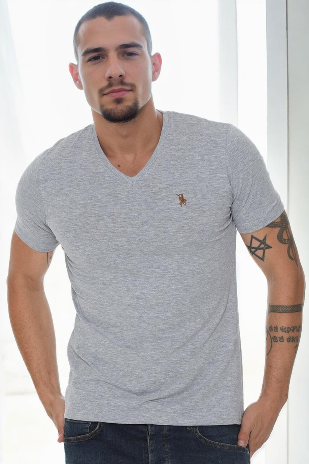 T9568 Dewberry V-NECK Men's T-SHIRT-GREY-image