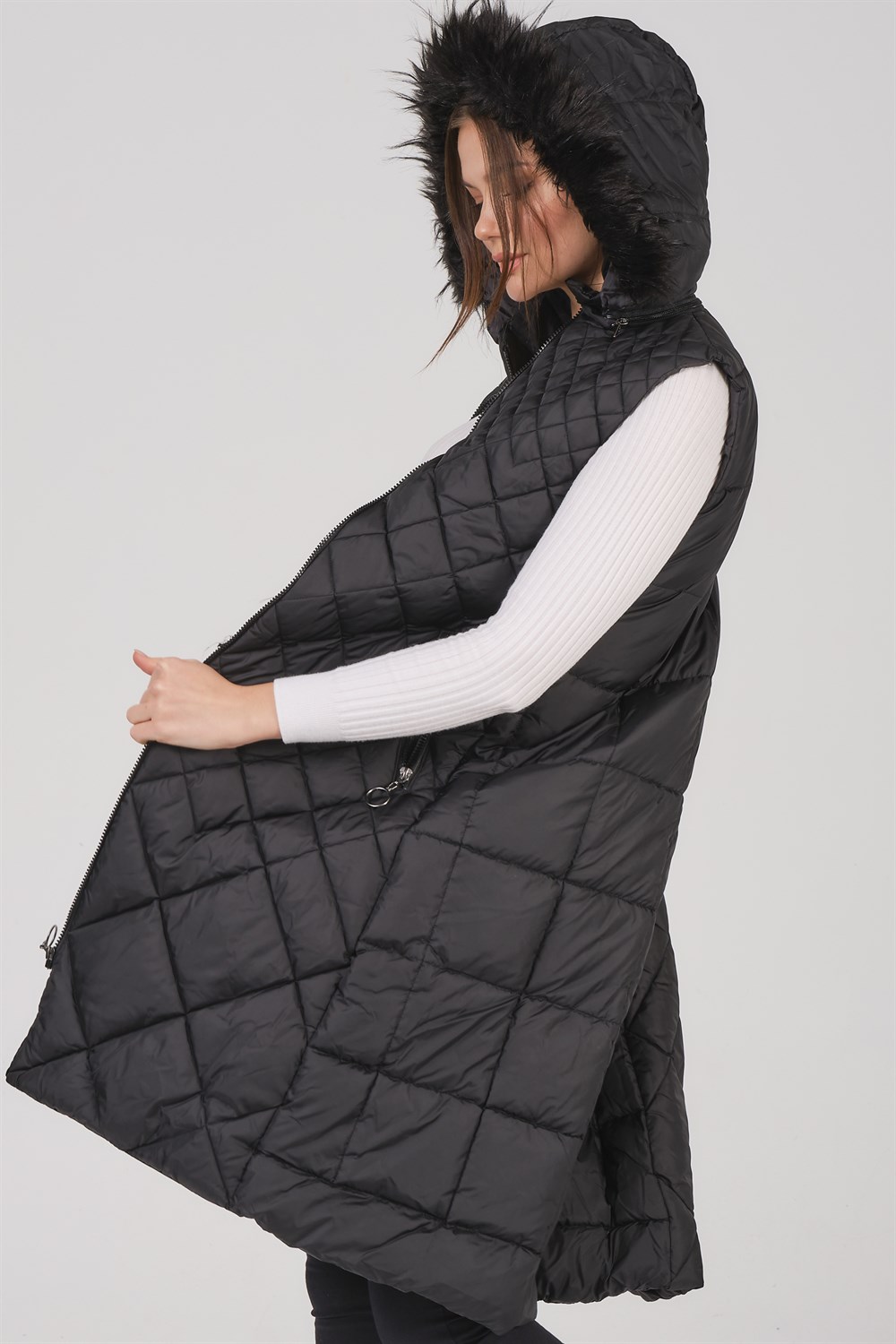 Vesta dama, dewberry