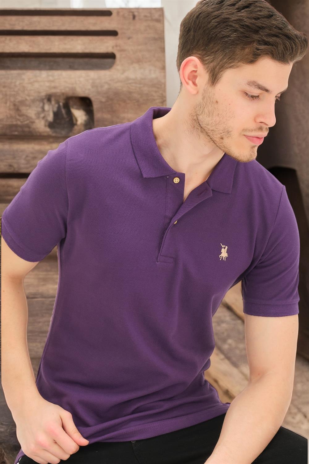 Tricou polo de barbati, dewberry