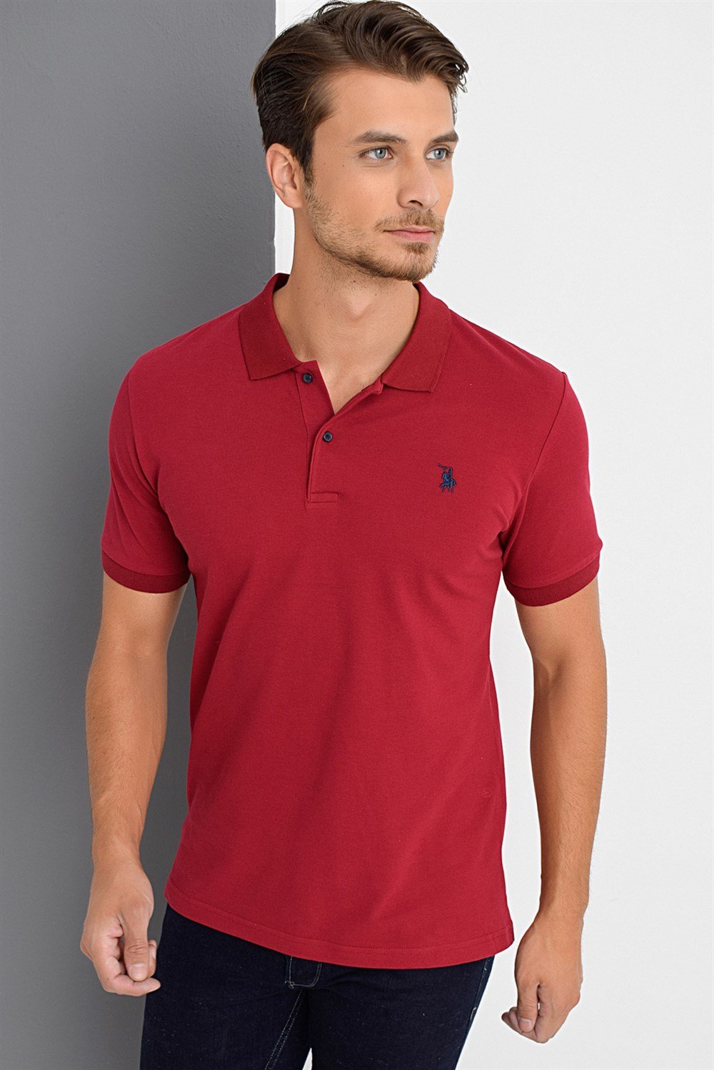 Tricou polo de barbati, dewberry