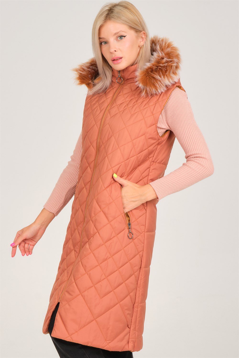 Vesta dama, dewberry