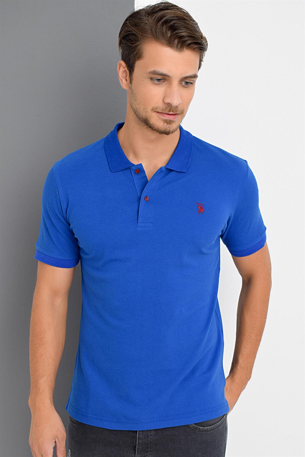 Tricou polo de barbati, dewberry
