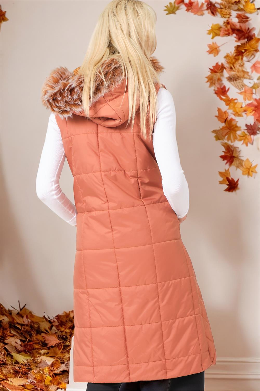 Z6718 DEWBERRY WOMEN'S VEST-CAMEL