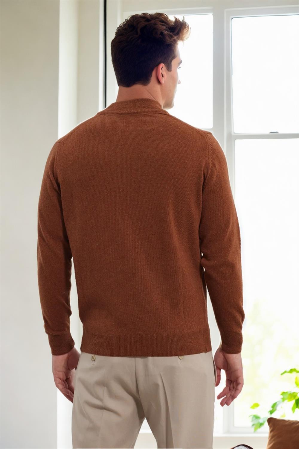 64721 Dewberry Half Turtleneck Woolen Mens Knit Sweater-TILE