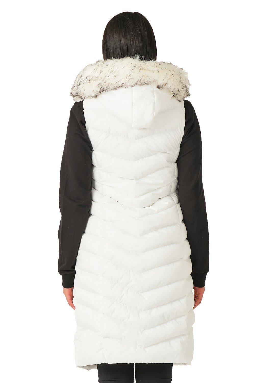 Vesta dama, dewberry