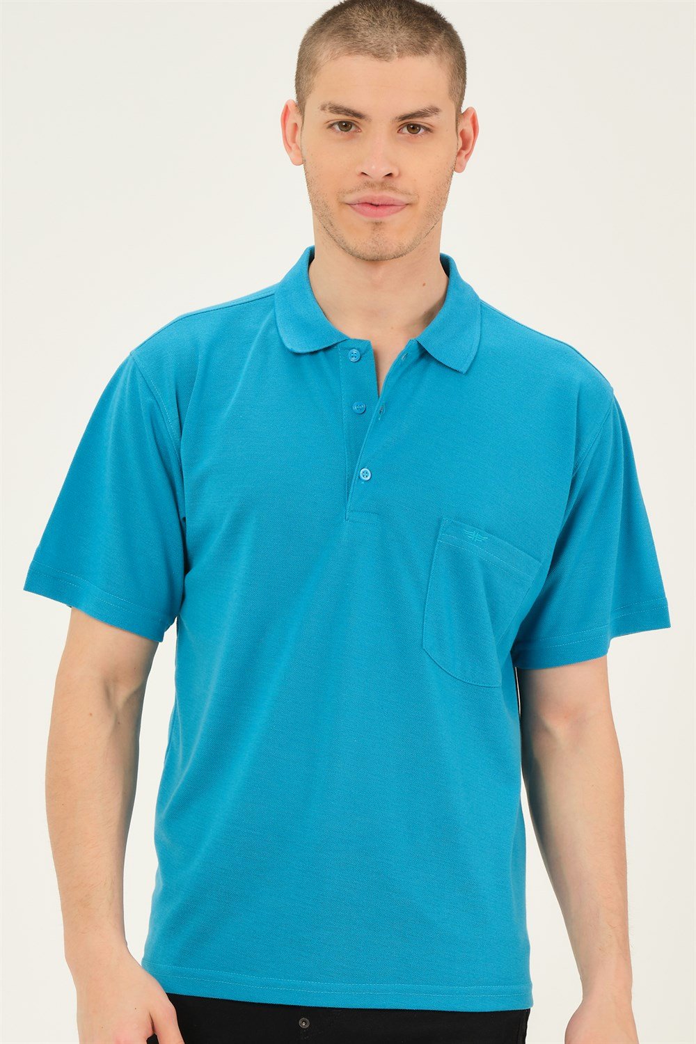 T0063 DEWBERRY