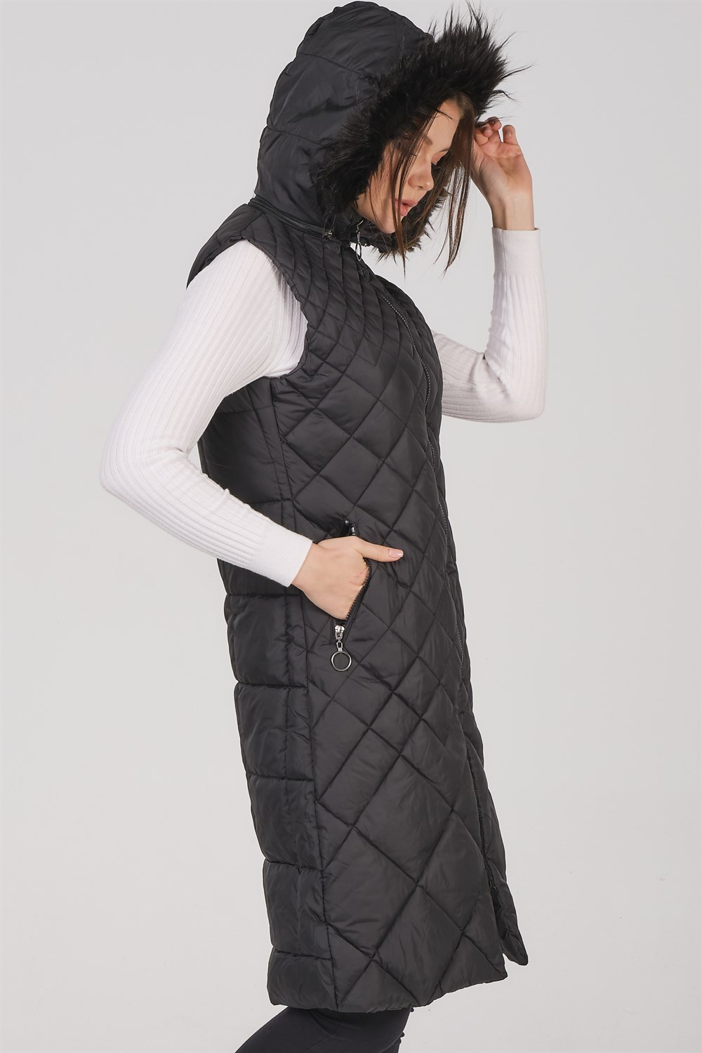 Vesta dama, dewberry