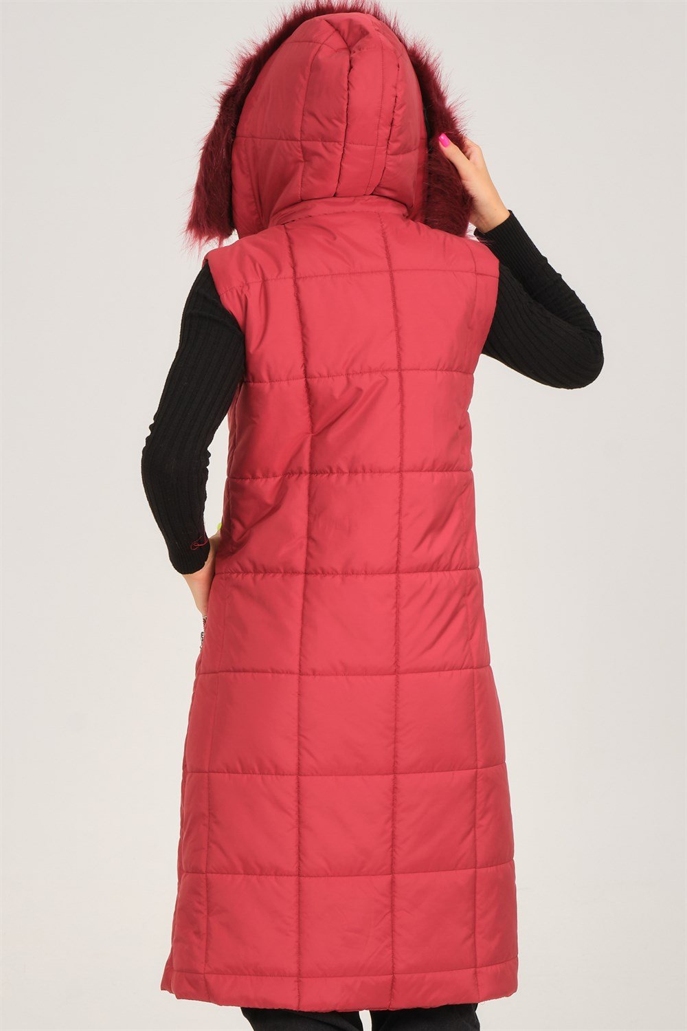 Vesta dama, dewberry