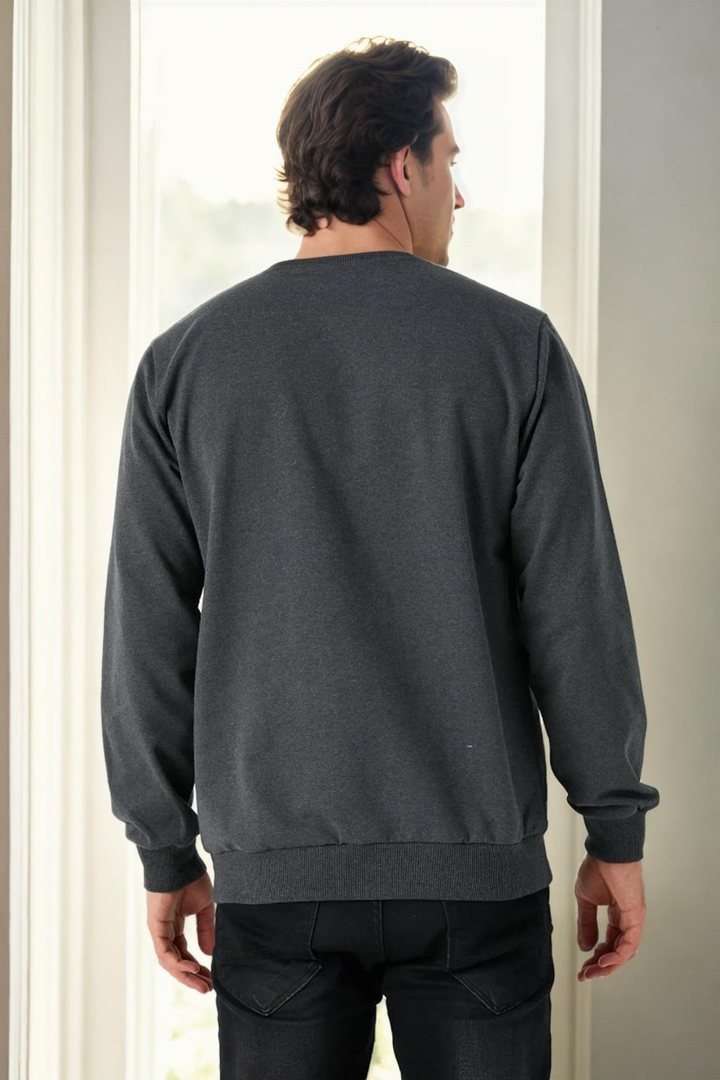 64602 Dewberry Basic Crew Neck Mens Sweatshirt-ANTHRACITE