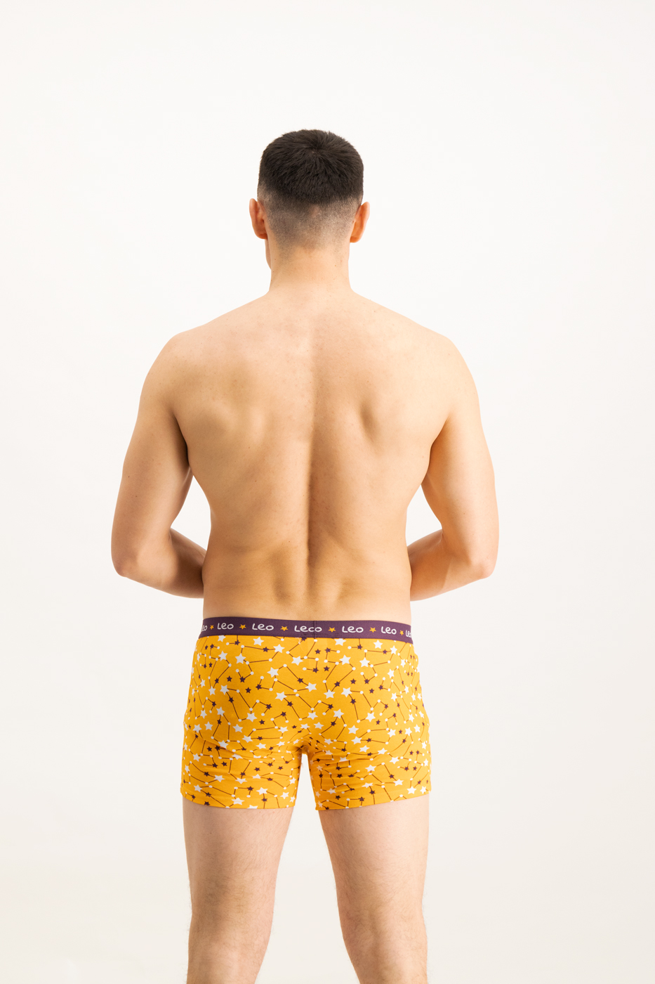 Men&#039;s boxers Frogies Zodiac Leu
