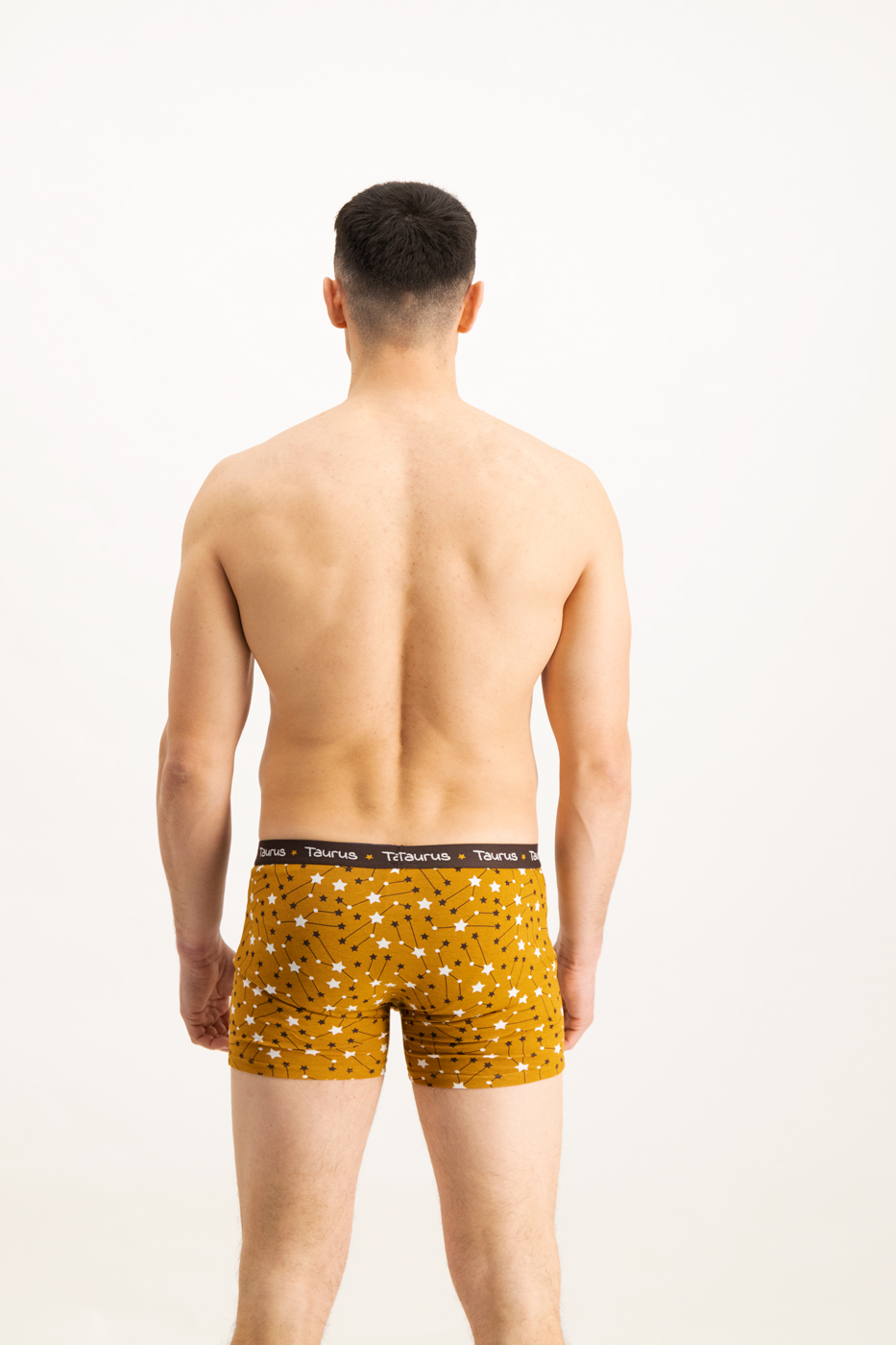 Men&#039;s boxers Frogies Zodiac Taur