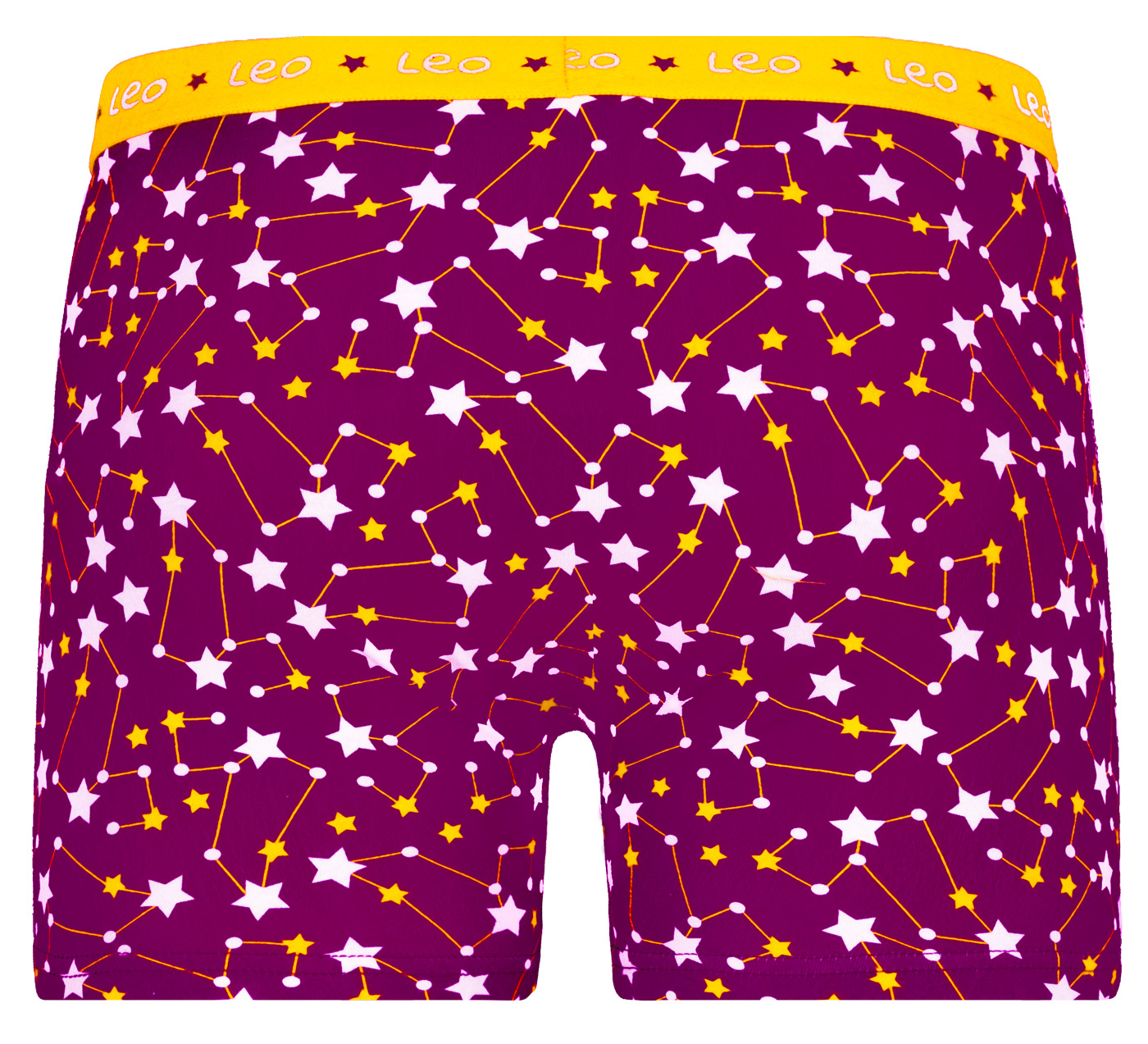 Men&#039;s boxers Frogies Zodiac Leu 2P Gift box