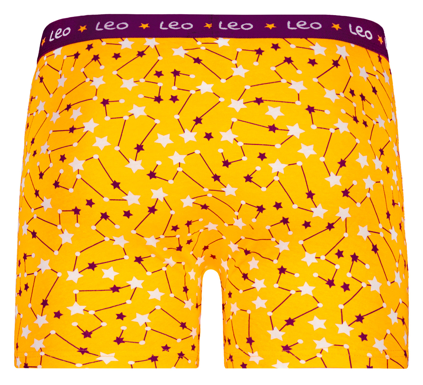 Men&#039;s boxers Frogies Zodiac Leu