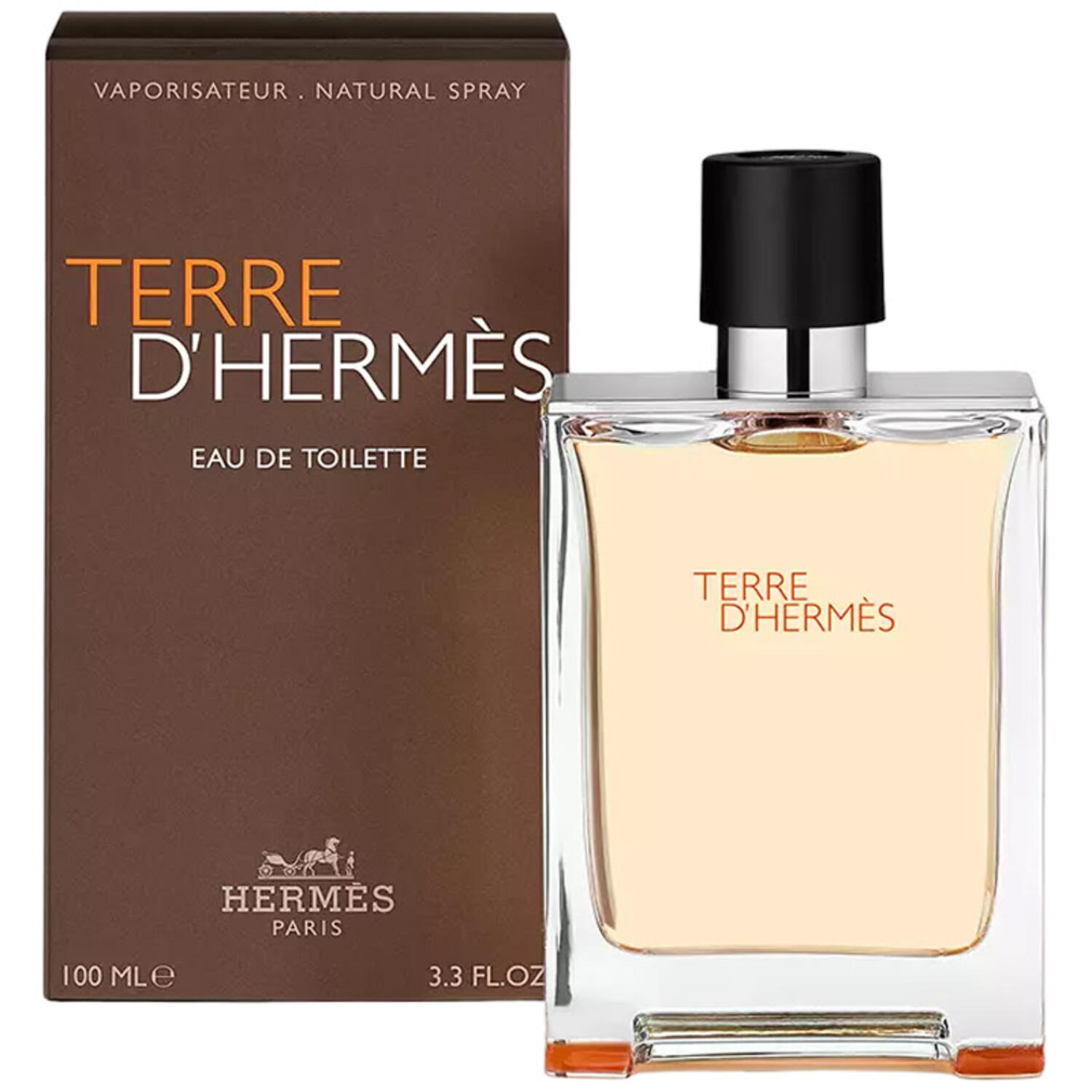 Terre d´Hermes EDT 100 ml Hermes