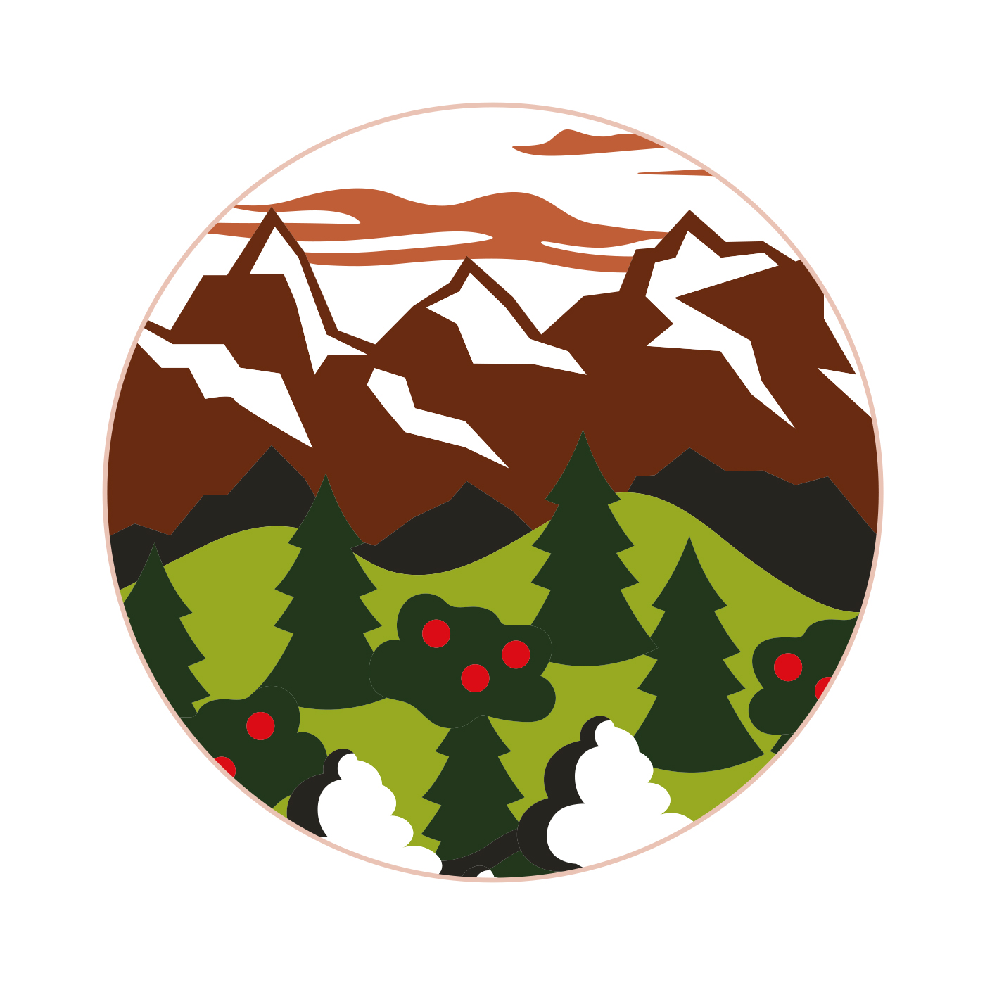 Sosete Frogies Regular