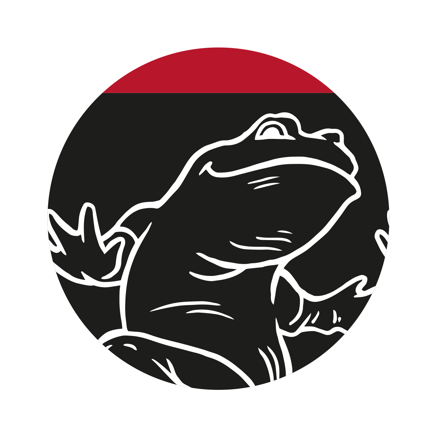 Ponožky Frogies Regular