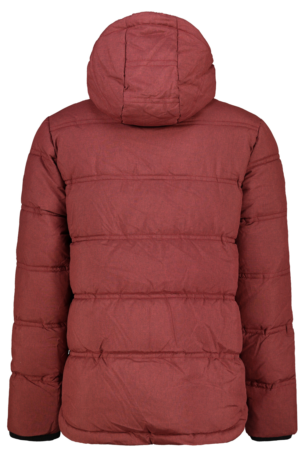 Jachetă de iarnă pentru bărbați Broaște