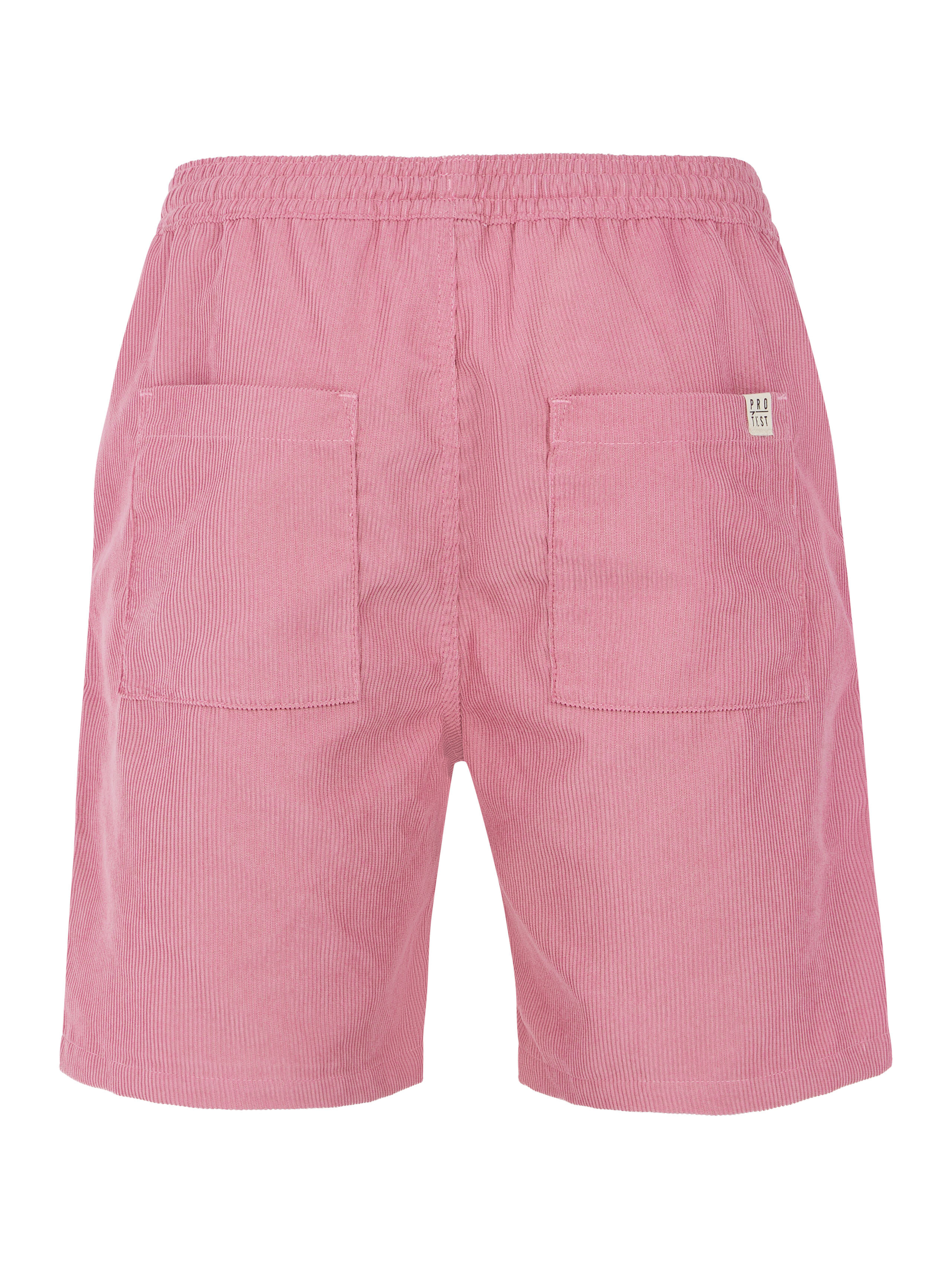 Men&#039;s shorts Protest PRTULEY